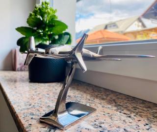 AERO Apartmaji Lesce-Bled - 4