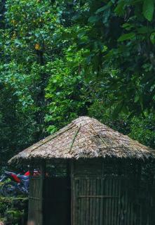 Aruvi Homestay idukki - Chillithodu - 0