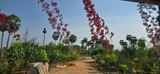 KK Dream Garden - 7