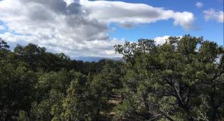 Cozy Bell Tents Excellent for a Glamping Experience and Hiking in Duchesne, Utah - Duchesne - 2