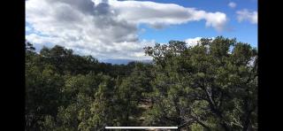 Cozy Bell Tents Excellent for a Glamping Experience and Hiking in Duchesne, Utah - Duchesne - 5