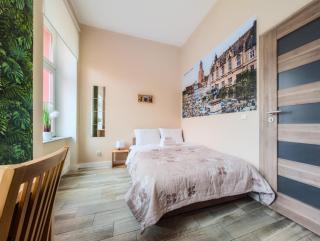 Wrocław Główny Comfort Apartment - Wrocław - 9