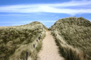 Sylt Ferienwohnung 2 Westerland - Westerland - 0