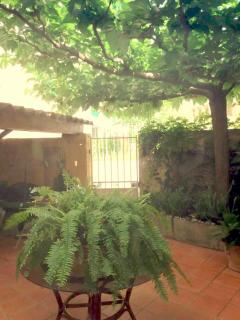 Spacious house with garden in Ollioules - Ollioules - 0