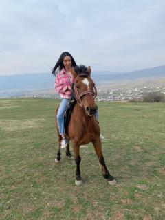 horse club qoria - Tbilisi - 4