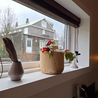 Central Reykjavík - Garden Cottage - Reykjavík - 4