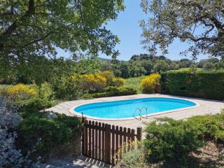 La Méladière - Mirabel-aux-Baronnies - 8