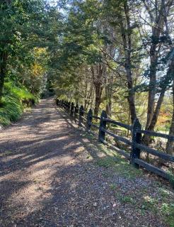 Cabaña con Tinaja Exclusiva, Lago Riñihue - Riñihue - 7