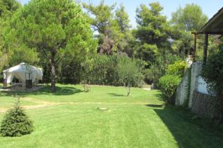 Sani Beach House 5 minute walk to the beach - Elani - 3