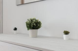 'MUSIC HOME' 15minCentral Station - Forum Assago - Duomo - Milan - 3