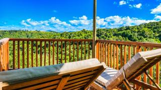 Teniqua Treetops - 6