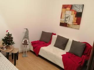 Medeea Studio - Alba Iulia - 7
