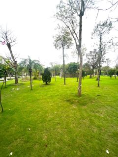 Villa FLC Sầm Sơn - Sao biển 98 - Sầm Sơn - 8