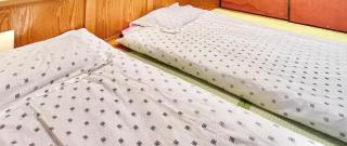 上野日式民宿 - 1