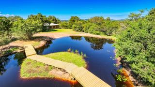 Teniqua Treetops - 1