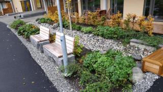 Oslo Golden Choice - 5