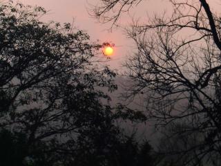The white villa coorg - Madikeri - 5