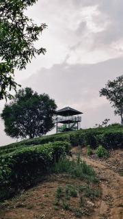 Tea Mitra Holiday Homes - 6