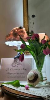 La Casina di Naty - Alatri - 0