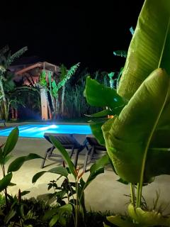 Lions Luxury Villa 3 - ZANZIBAR - Private Cook&Infinty Pool - Bunju - 4