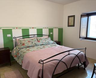 Bosco Stellato - Casteldelci - 5