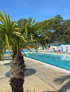 Les Dunes de Contis 4 étoiles emplacement 459 3CH 1SDB 8 pers - Saint-Julien-en-Born - 0