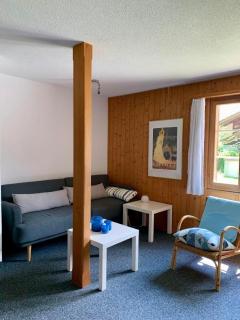 Ferienwohnung im Chalet "Underem Gfell 28" - Meiringen - 0
