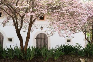 Lexsimihof - Presshaus - Wildon - 0