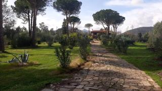 Residence Sardegna San Teodoro - 6