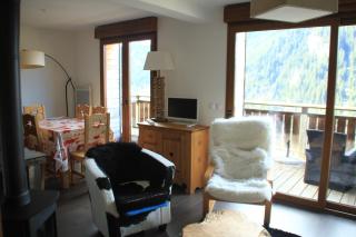 Bellevue BL42 CHARMING & MOUNTAIN 6 Pers - Châtel - 9