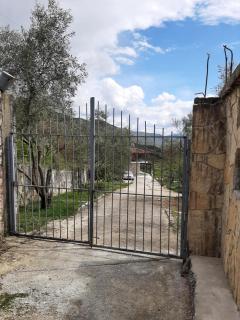 Garufalia - Peshkëpia e Poshtme - 6