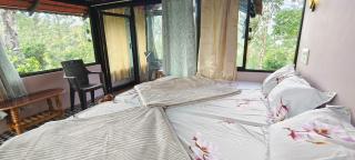 Glass Cottage Horanadu - Kalasa - 5