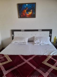Hotel Ved Bageshwari - - 9