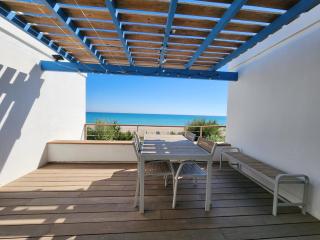 Porte Bleue de la Plage - Frontignan - 7