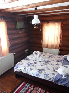 Cabana Mountain View - Braşov - 5
