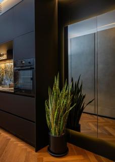 Elite Business Suite in Central TLV - 5