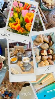 Goldener Hahn B&B Baiersbronn - Ferienwohnungen mit Hotel Service nahe Gartenschau Tal X - Baiersbronn - 2