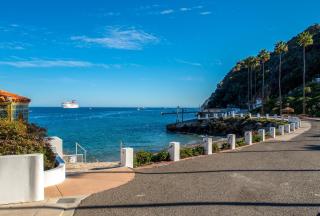 H1338 - Hamilton Cove Villa 13-38 - Avalon - 2