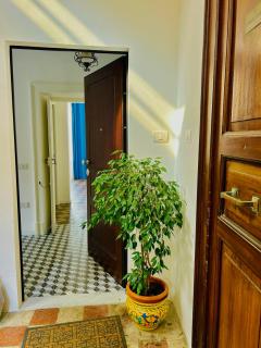 Sedile Dei Nobili Apartment - Tropea - 5