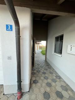 Wohnung mit Bergblick - Waging am See - 8