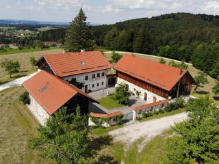 Ferienwohnung nähe Attersee - Traunsee LEHNER IM WALD charmantes Bauernhaus in Alleinlage - Vöcklabruck - 0