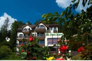 Mont Blanc - Predeal - 1