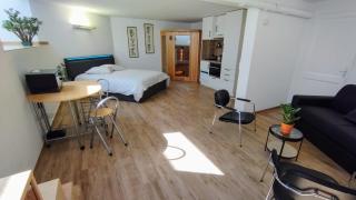 Studio 40 m2 avec sauna proche de Strasbourg - Mittelhausbergen - 0