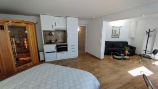 Studio 40 m2 avec sauna proche de Strasbourg - Mittelhausbergen - 4