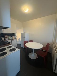 Spacious 3 bedroom duplex, Netflix, remote work - Geneva - 4