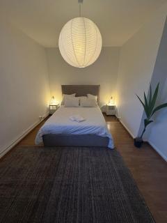 Spacious 3 bedroom duplex, Netflix, remote work - Geneva - 2