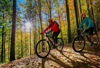 APARTMÁNY 91 Boží Dar - 8