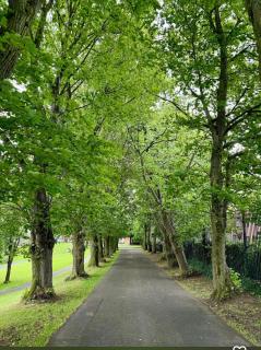 4 stars Rating Tourist board certified Spacious penthouse Apartment - Belfast - 3