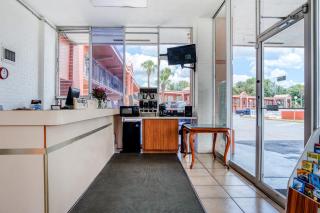 OYO Hotel Mustang Silver Spring FL - Silver Springs - 7