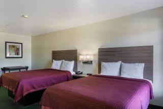 OYO Inn & Suites Medical Center San Antonio - San Antonio - 6